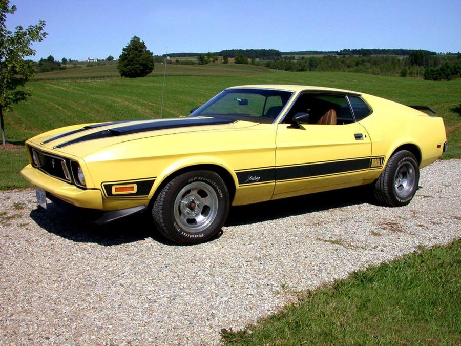  Ford Mustang Mach I Sportroof 1973 года  (фото 5 из 6)